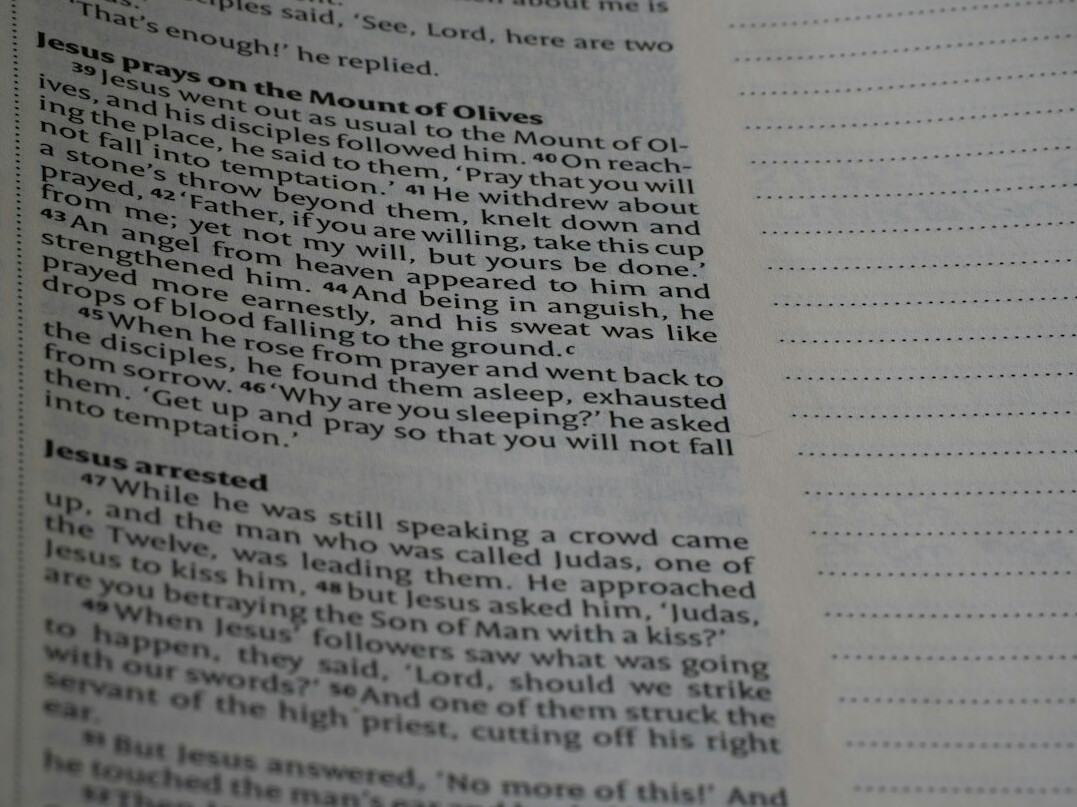 open mystery novel pages
