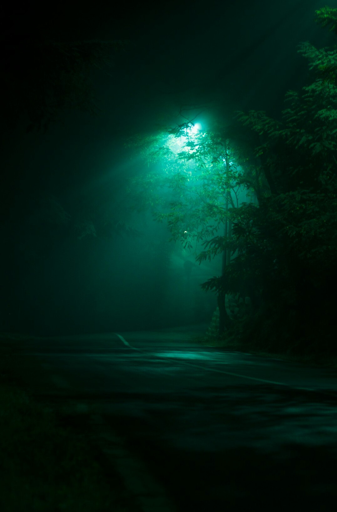mysterious night scene